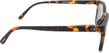 Izipizi Sun #L Tortoise 47141