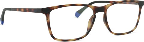 Polaroid PLD 6139/CS 086 55 (sonnenclip)