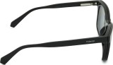Polaroid PLD 6202/CS 807 M9 53 (sonnenclip) 38749
