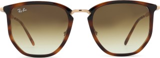 Ray-Ban 0RB4451 680451 53 37512