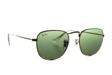 Ray-Ban Frank Legend Gold RB3857 919631 51 7662