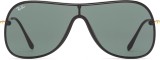 Ray-Ban RB4311N 601/71 38 1352