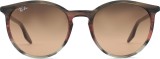 Ray-Ban RB2204 13953B 43026