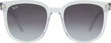 Ray-Ban RB4401D 64478G 55 43155