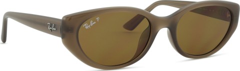 Ray-Ban RB4457D 677983 55