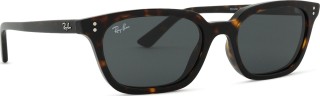 Ray-Ban Zaya RB4456 135987